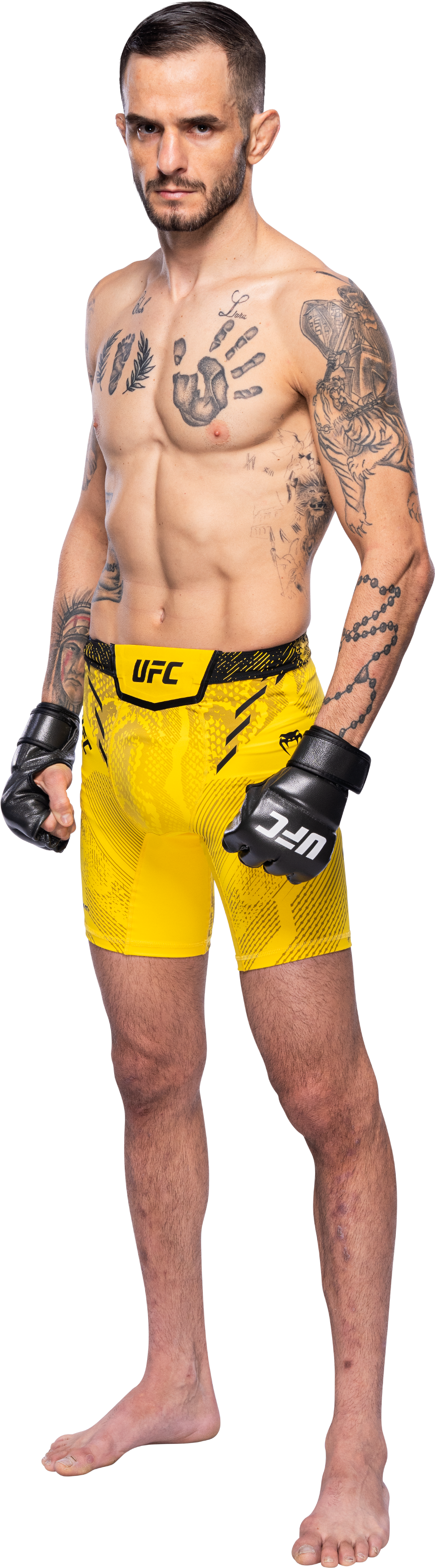 Almeida Bodyshot