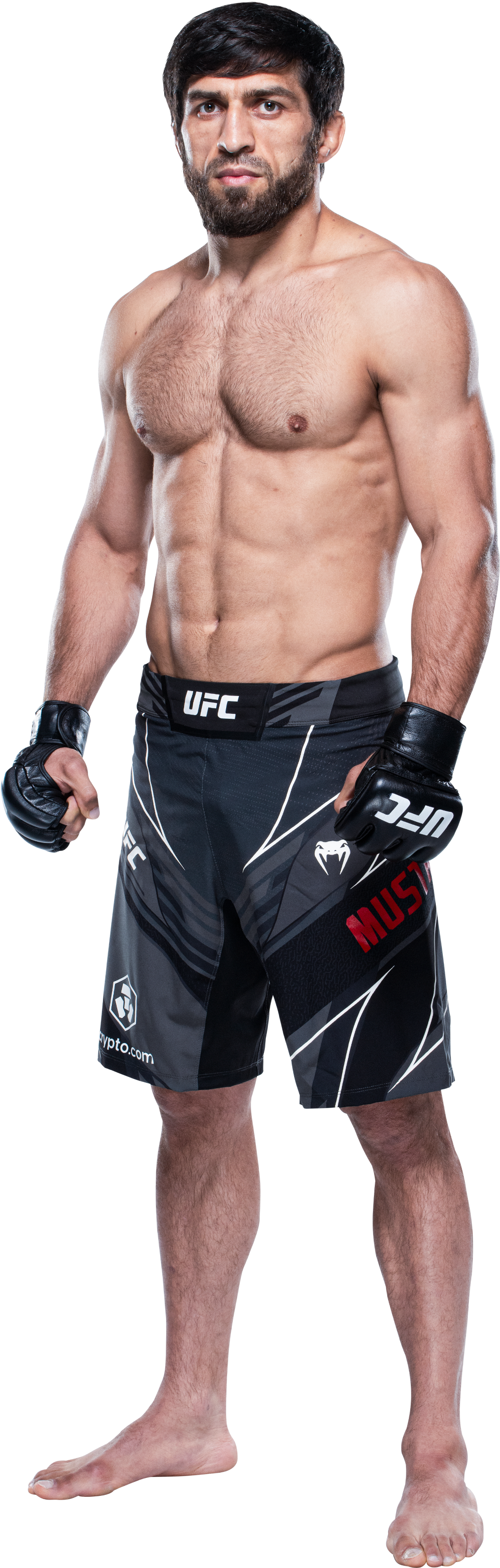 Mustafaev Bodyshot