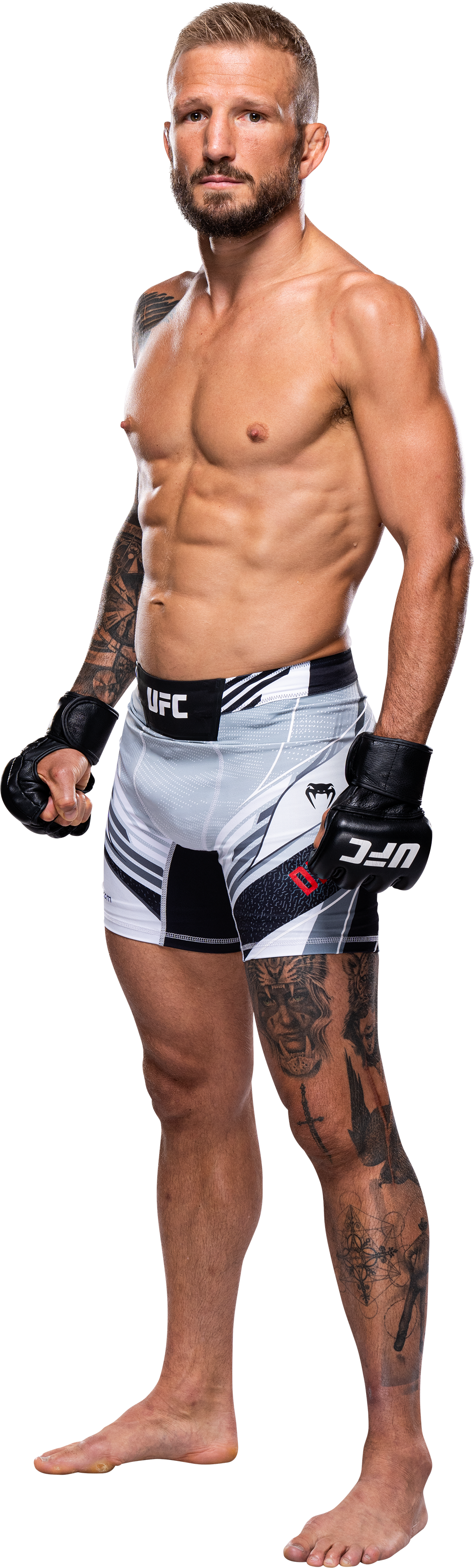Dillashaw Bodyshot