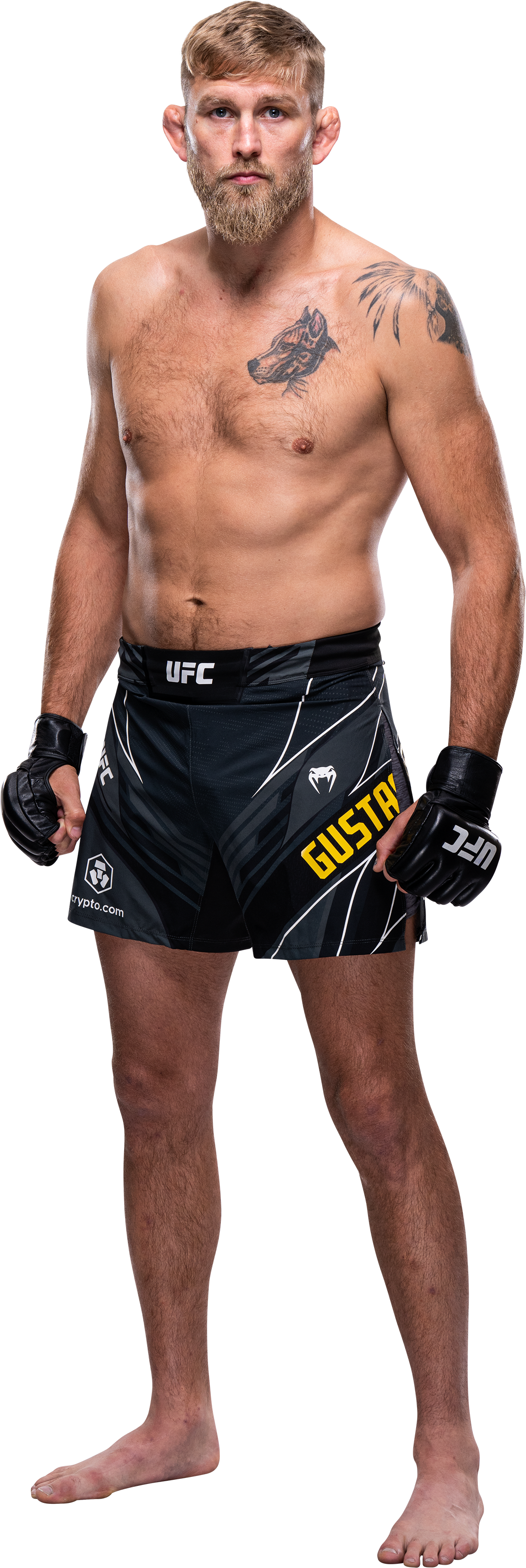 Gustafsson Bodyshot