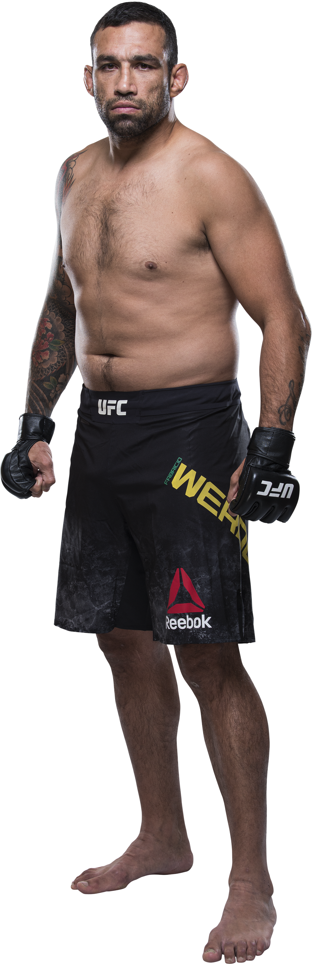 Werdum Bodyshot